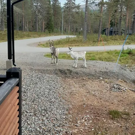 Louhi B Appartement *