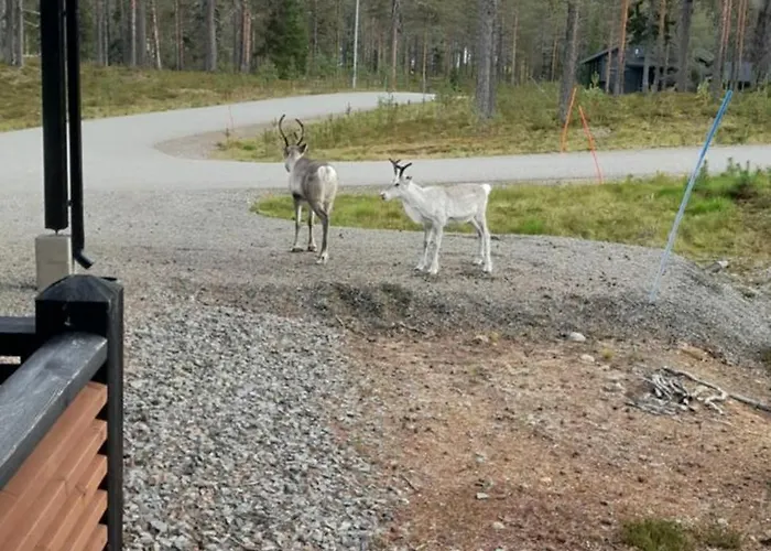 Louhi B Apartamento *